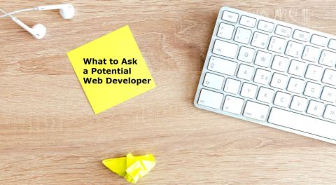 How to Trust Your Web Developer